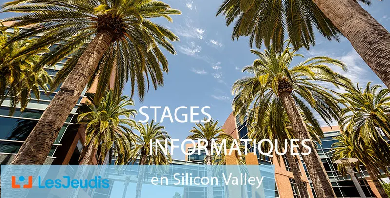 Fond avec des palmiers dans la Silicon Valley