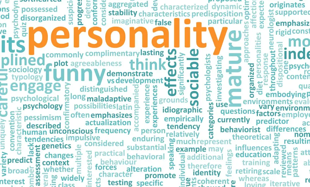 Les tests de personnalité : tout ce qu'il faut savoir pour vous en tirer