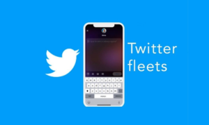 Twitter Fleets
